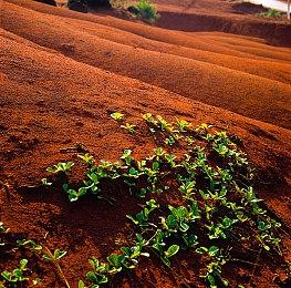 Epic喜加一：《咒语浪人＆Spelldrifter》免费领！